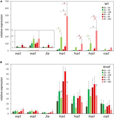 Environmental Tuning of Homologs of the Orange Carotenoid Protein-Encoding Gene in the Cyanobacterium Fremyella diplosiphon